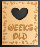 Cute baby age milestone plaques